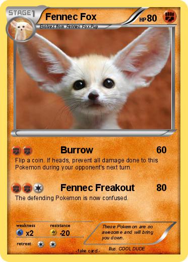 Pokemon Fennec Fox