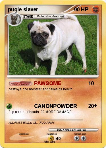 Pokemon pugle slaver