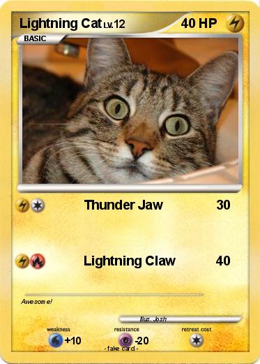 Pokemon Lightning Cat