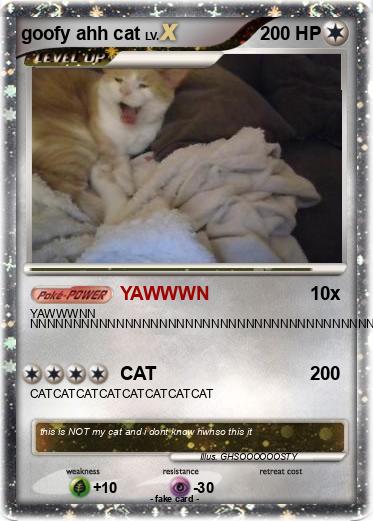 Pokemon goofy ahh cat