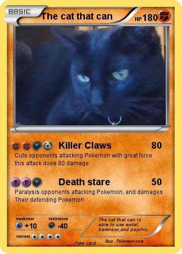 Pokemon The cat that can
