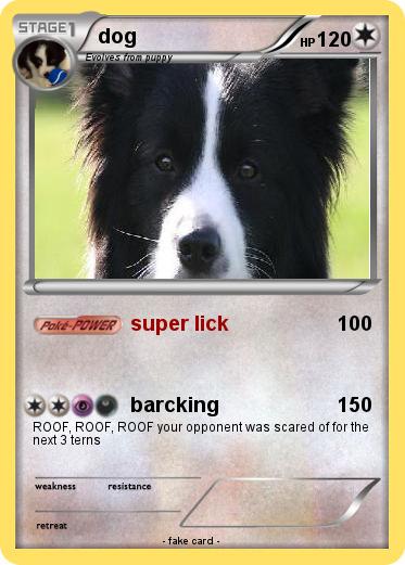 Pokemon dog