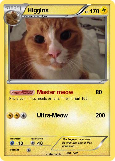 Pokemon Higgins