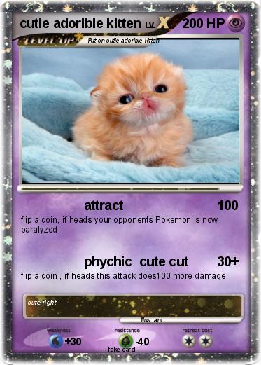 Pokemon cutie adorible kitten
