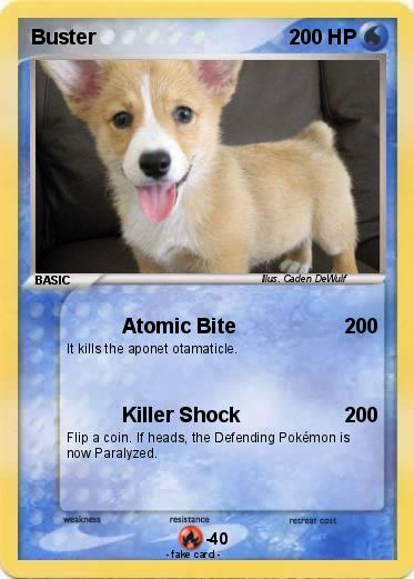 Pokemon Buster