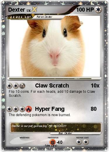 Pokemon Dexter Pokemon Dexter