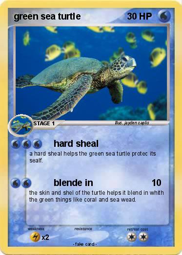 Pokemon green sea turtle