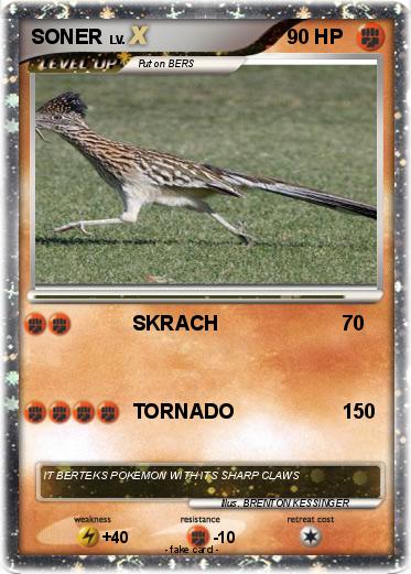 Pokemon SONER