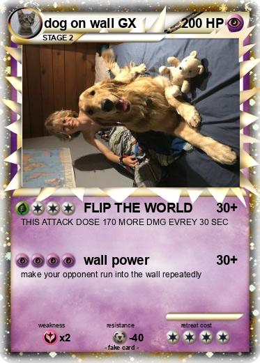 Pokemon dog on wall GX