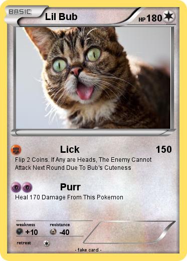 Pokemon Lil Bub