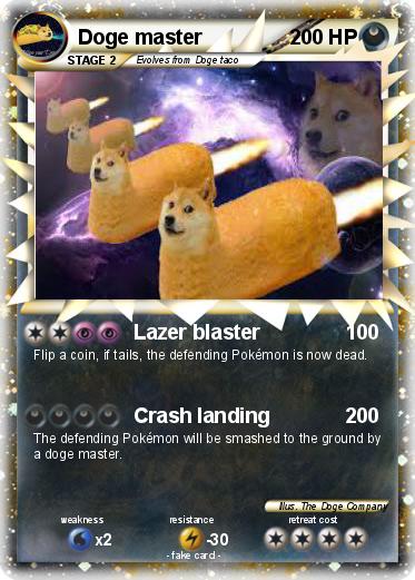 Pokemon Doge master