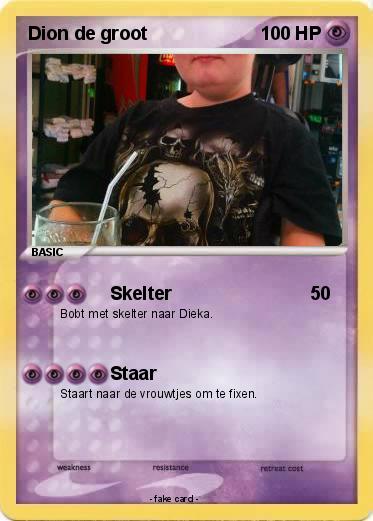 Pokemon Dion de groot