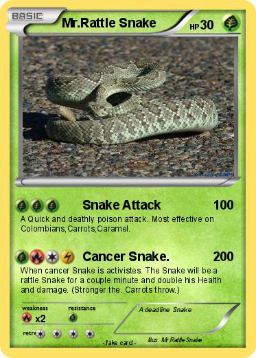 Pokemon Mr.Rattle Snake