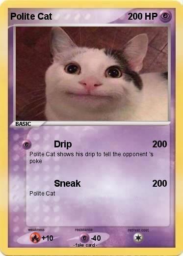 Pokemon Polite Cat