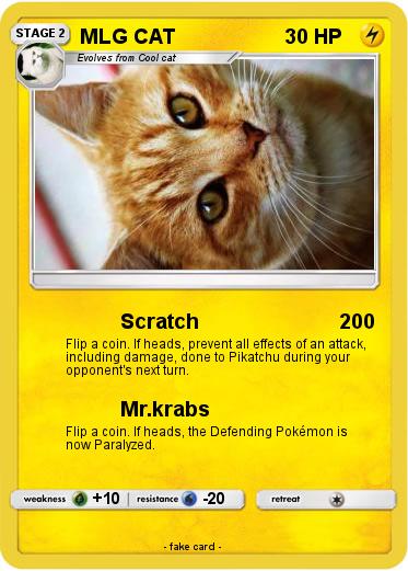 Pokemon MLG CAT