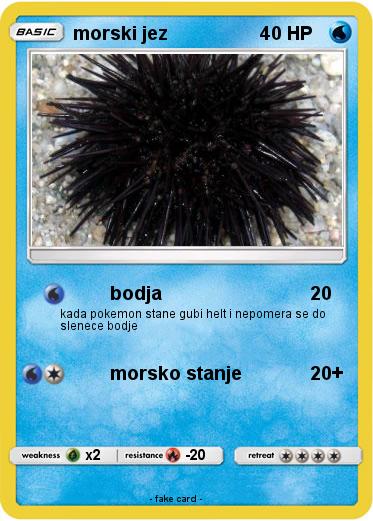 Pokemon morski jez