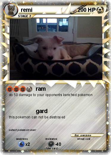 Pokemon remi