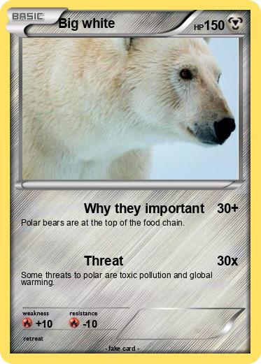 Pokemon Big white