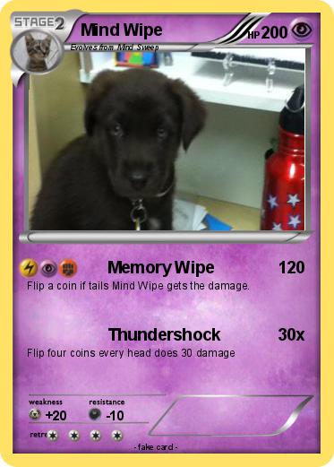 Pokemon Mind Wipe