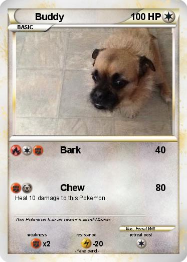 Pokemon Buddy