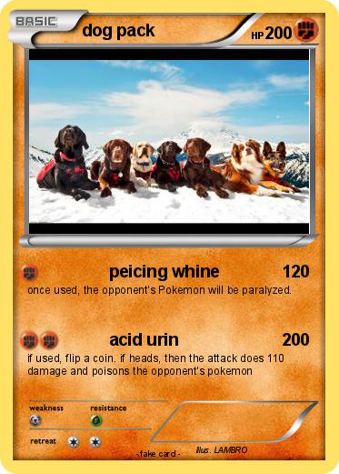 Pokemon dog pack
