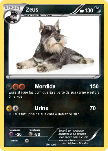 Pokemon Zeus