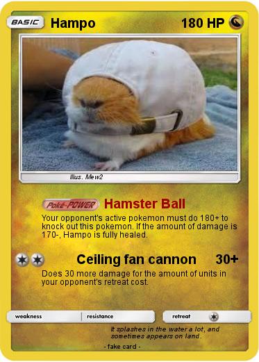 Pokemon Hampo