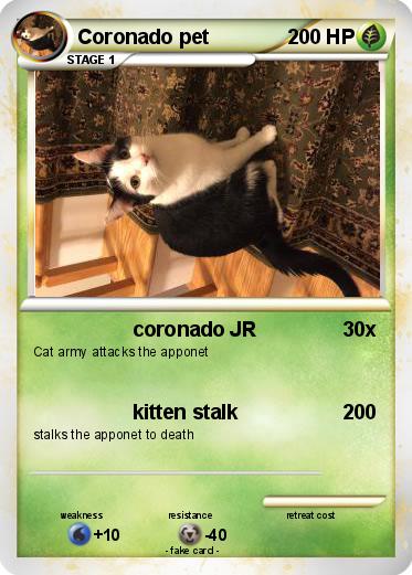 Pokemon Coronado pet