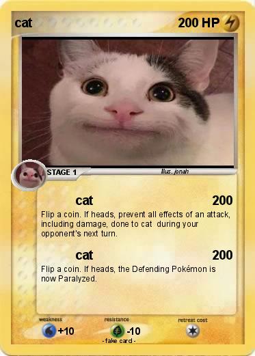 Pokemon cat
