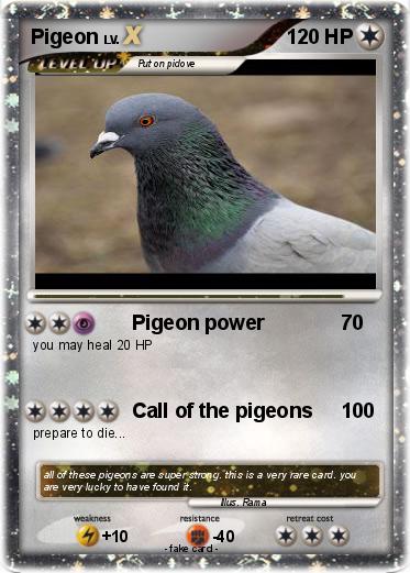 Pokemon Pigeon