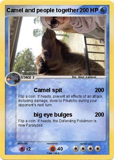 Pokemon Camel and people together