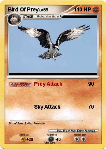 Pokemon Bird Of Prey