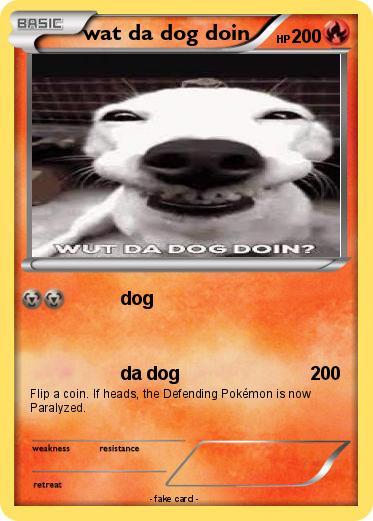 Pokemon wat da dog doin