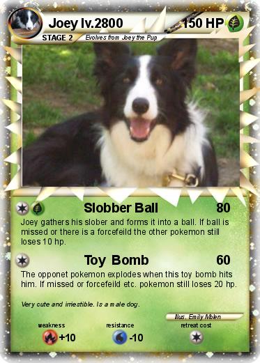 Pokemon Joey lv.2800