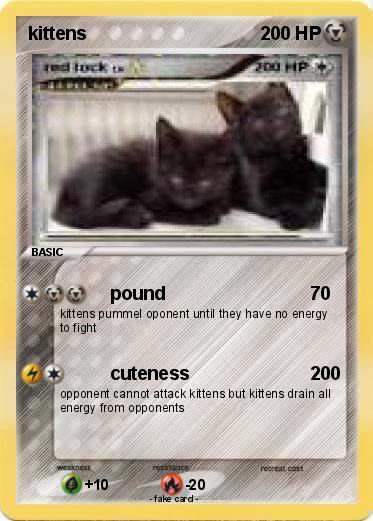 Pokemon kittens