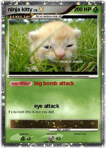 Pokemon ninja kitty
