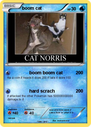 Pokemon boom cat