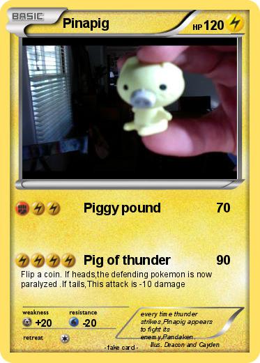 Pokemon Pinapig