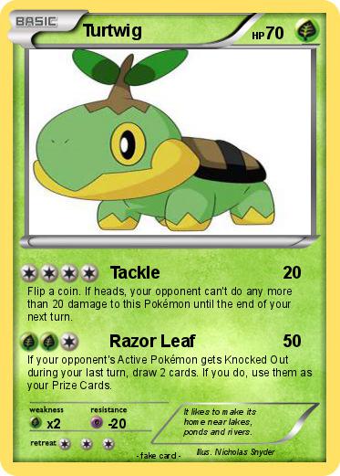 Pokemon Turtwig
