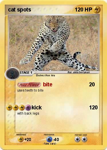 Pokemon cat spots