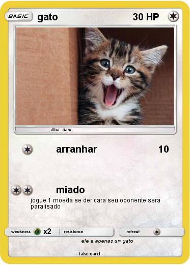 Pokemon gato
