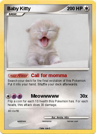 Pokemon Baby Kitty