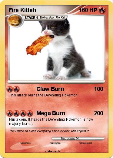 Pokemon Fire Kitteh