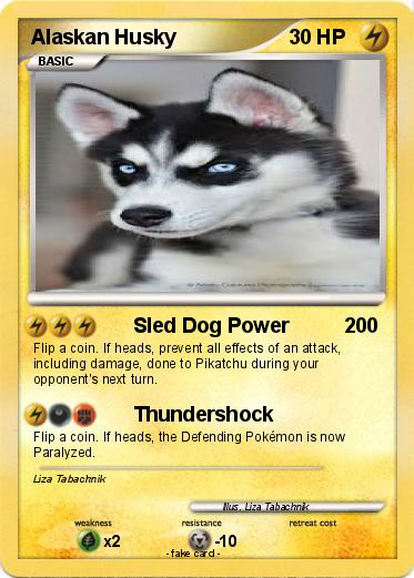 Pokemon Alaskan Husky