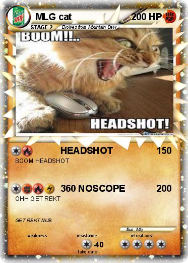 Pokemon MLG cat