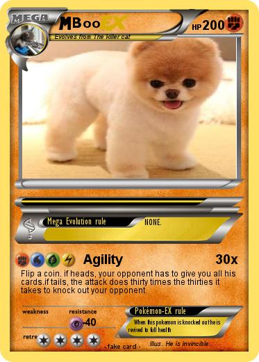 Pokemon Boo