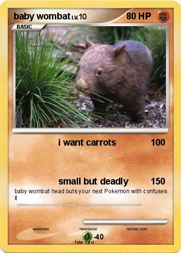 Pokemon baby wombat