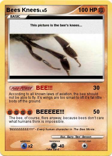Pokemon Bees Knees