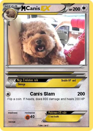 Pokemon Canis