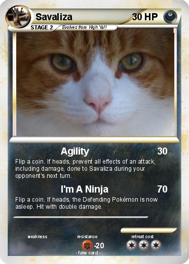 Pokemon Savaliza
